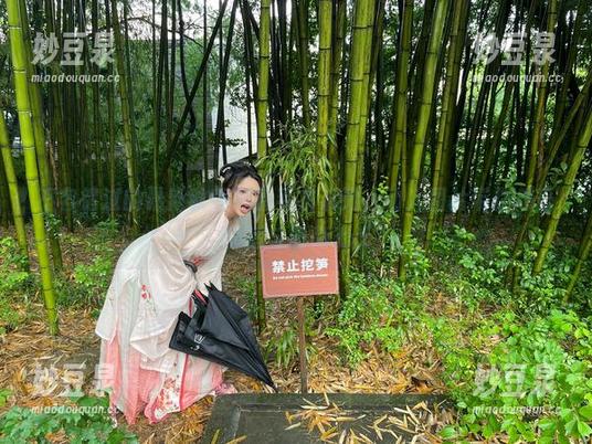 不容错过的最新秋和柯基毛衣系列，动人图片带你感受舒适与时尚.txt