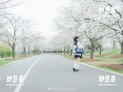 铁打萌萌_moi倾情奉献：胶带作品在网盘等你，快来下载吧！.txt